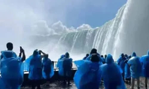 3517e0bd6c0667729d60dffa45732f71